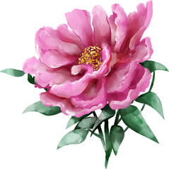 Set of wild flower watercolor style