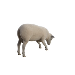 Sheep photorealistic in different poses on transparent background. 3D rendering illustration.