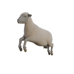 Sheep photorealistic in different poses on transparent background. 3D rendering illustration.