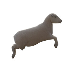 Sheep photorealistic in different poses on transparent background. 3D rendering illustration.