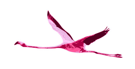 Simple illustration art of flamingo bird in pink and maroon colour - vector