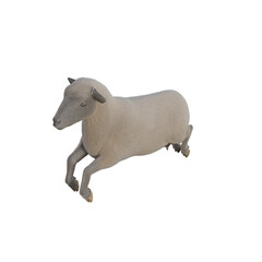 Sheep photorealistic in different poses on transparent background. 3D rendering illustration.