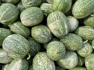 Feigenblattkürbis Siam Kürbis