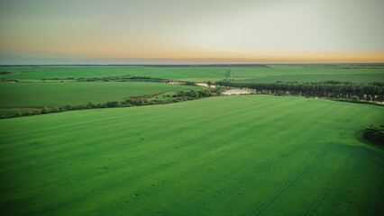aerial photography of rural nature