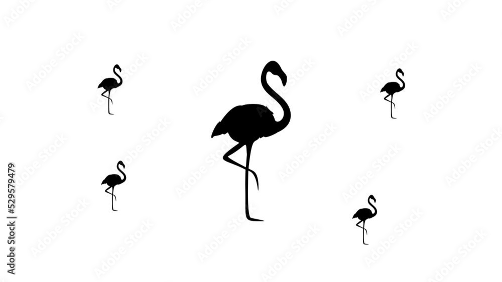 Poster zoom in and out animation the flamingos symbol. large black symbol in the center and four small symb