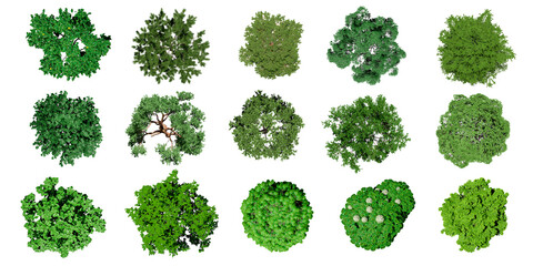 Collection of 3D Top view Green Trees Isolated on PNGs transparent  background , Use for visualization in architectural design or garden decorate	