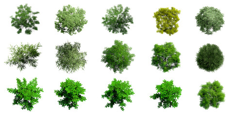 Collection of 3D Top view Green Trees Isolated on PNGs transparent  background , Use for visualization in architectural design or garden decorate	