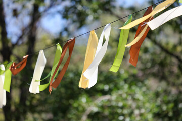 Multi-colored ribbons hang in the park