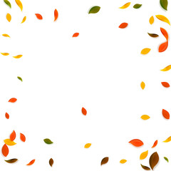 Falling autumn leaves. Red, yellow, green, brown c