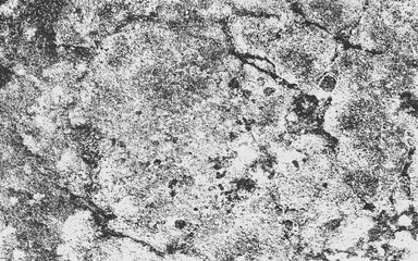 Grunge Vector Texture Distressed Background old aged wall