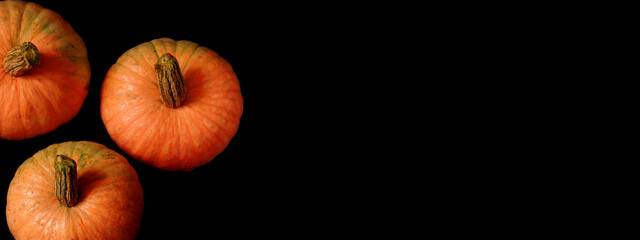 A banner with three ripe orange pumpkins on a black background.