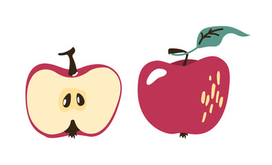Healthy vitamin vegetarian fruit dessert. A set of whole and cut apples. Organic natural food. Half of an apple with seeds in a flat cartoon graphic style. Botanical illustration.