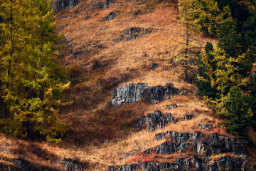 tapete herbstlandschaft berg altai, freiheit romantische reise © kichigin19