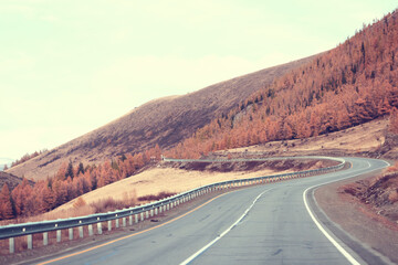 autumn highway view, freedom travel landscape