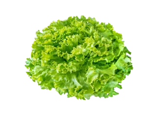 Foto op Plexiglas Batavia lettuce salad rosette isolated transparent png. Green leafy veggie.  © photohampster