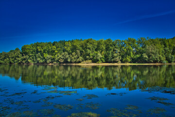 Fototapeta premium Altrhein near Bruehl, Germany, on a sunny day and blue sky
