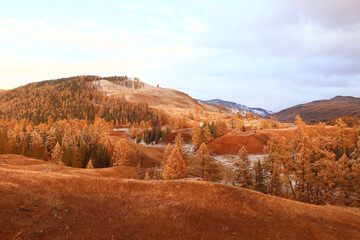 landscape mountain altai, panorama scenery freedom, autumn nature of siberia