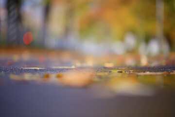 abstract blurred autumn background park, city fall nature october