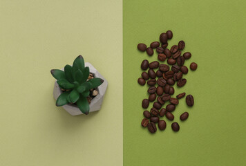 Coffee beans and decorative plant on green background