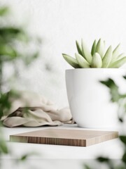 3d wooden display podium with fabric and succulent vase against white concrete wall. 3d rendering of realistic presentation for product advertising. interior illustration.