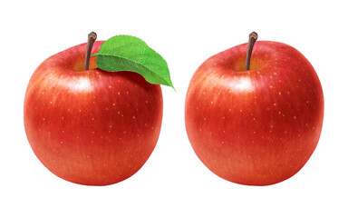 りんご 林檎 リンゴ イラスト リアル