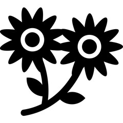 Daisy Vector Icon