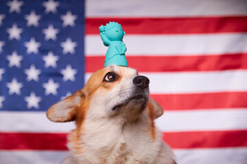 Corgi dog with a statue of liberty in front of the American flag. Election Day. The 2022 midterm elections in the United States of America. The concept of a political election.