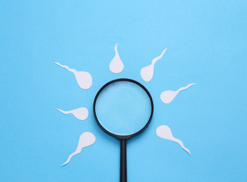 Diagnosis of male reproductive function. Spermatozoa, male seed with a magnifying glass on a blue background