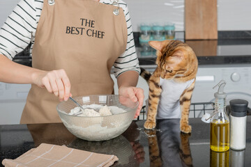 A woman in an apron and a cat are preparing pizza dough.