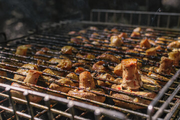 Delicious mushrooms on the grill