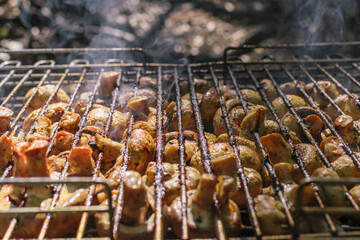 Delicious mushrooms on the grill