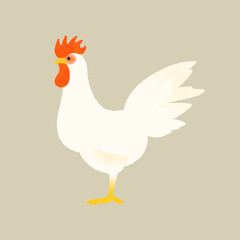 白色レグホン オス