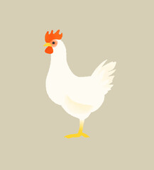 白色レグホン メス