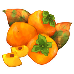 種あり柿とカットされた実の手描き水彩風イラスト