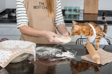 The owner and her cat are having fun preparing a pie or pizza in the kitchen together.