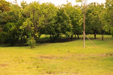 Yellow green plain and trees with duck in the autumn