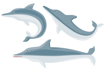 Cute dolphins set. Vector illustration of a jumping dolphin. Cute water animals
