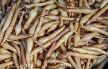 Kaempferia background, this kind of Thai herb