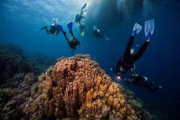 A group of scuba divers swimming over the coral reef heading back to the boat visible at the surface of the water in the background