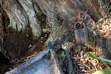Obraz premium Аishing boat tied to a tree with a chain. Old padlock on a chain. Rusty chain wrapped around tree and the padlock on the large tree trunk background. Crust and metal chain texture