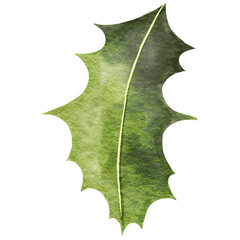 Holly Leaf Christmas Holly PNG Clipart