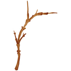 Tree Branch Twig Clipart PNG
