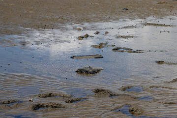 Footprints in the mud of the wadden sea at low tide