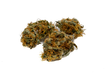 getrocknete Cannabisblüte isoliert auf weißen Hintergrund