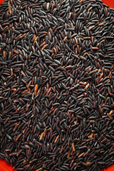 Black rice, also known as purple rice or forbidden rice. Organic unpolished black rice grains as a source of complex carbohydrates and high in antioxidants.  
