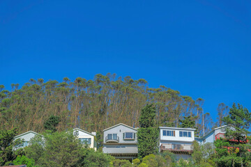 Fototapeta na wymiar Houses amidst trees with blue sky background in San Francisco California