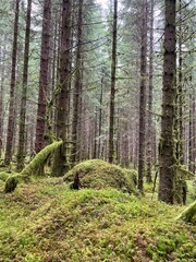 Hiking Trial Baståsen Hindenes Bergen Norway