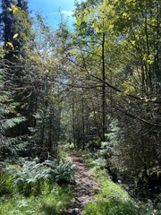 Fototapeta premium Orretua Kaland Hiking Trial Bergen Norway