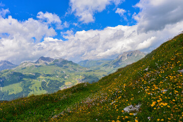 Schafalpe am  Rüfikopf in den Lechtaler Alpen, Österreich