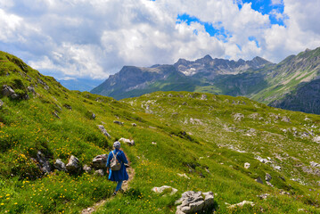 Naklejka premium Schafalpe am Rüfikopf in den Lechtaler Alpen, Österreich